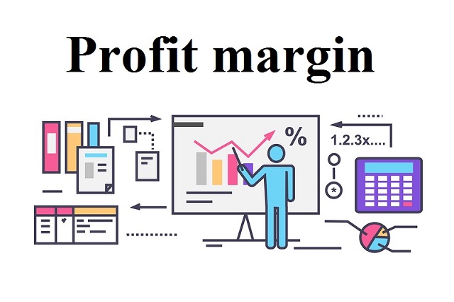Answer the question: What is profit margin?