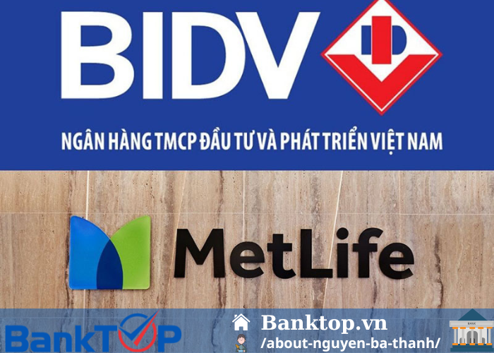 Bảo hiểm BIDV Metlife có tốt không?