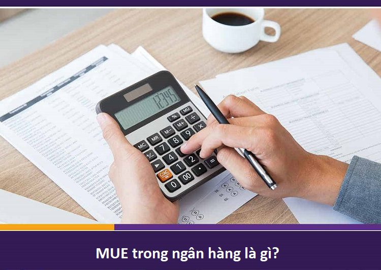 Tìm hiểu về khái niệm MUE