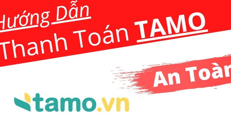 Hướng dẫn tra cứu, thanh toán khoản vay TAMO nhanh nhất